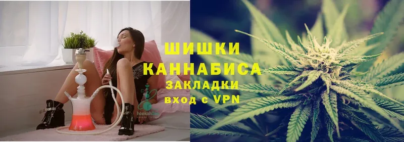 Конопля SATIVA & INDICA  Энем 